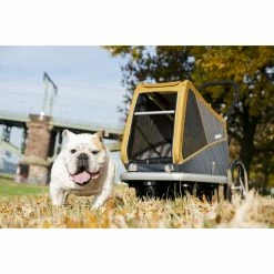 Croozer Dog Peppa Dog Trailer corn yellow -Racks Sales croozer dog l hundeanhaenger maisgelb 5