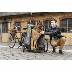 Croozer Dog Bruuno Dog Trailer pine green -Racks Sales croozer dog xxl hundeanhaenger kieferngruen 3