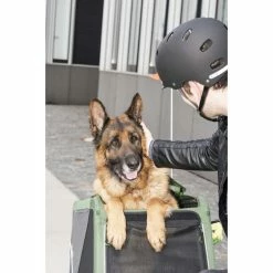 Croozer Dog Bruuno Dog Trailer pine green -Racks Sales croozer dog xxl hundeanhaenger kieferngruen 4