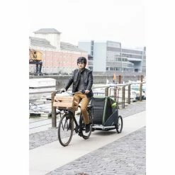 Croozer Dog Bruuno Dog Trailer pine green -Racks Sales croozer dog xxl hundeanhaenger kieferngruen 5